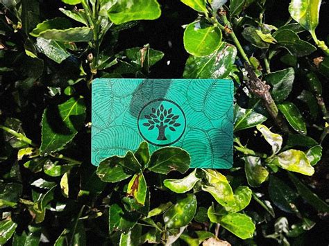 eco friendly nfc cards|Looking for Environment.